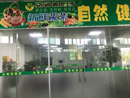 粤旺2.jpg